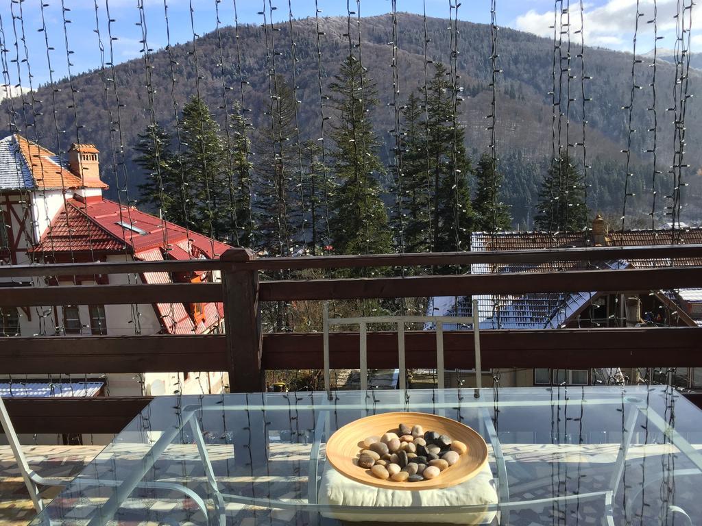 Hotel Roberto Sinaia
